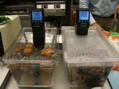 Sous Vide Immersion Circulator