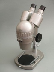 Stereo Microscope