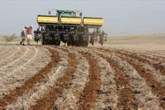 Strip-Till Implement