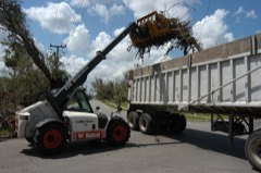 Telescopic Handler