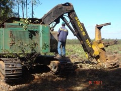 Tracked Feller Buncher