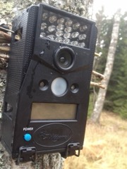 Trail Camera