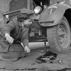 Transmission Jack