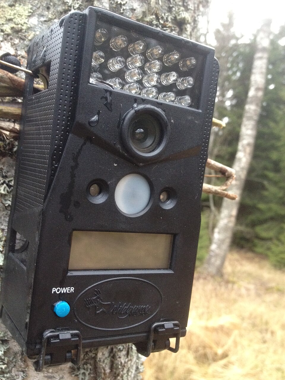 Trail Camera