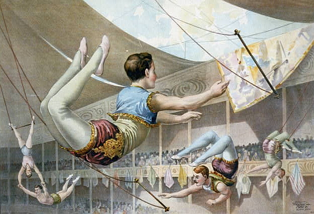 Flying Trapeze Rig