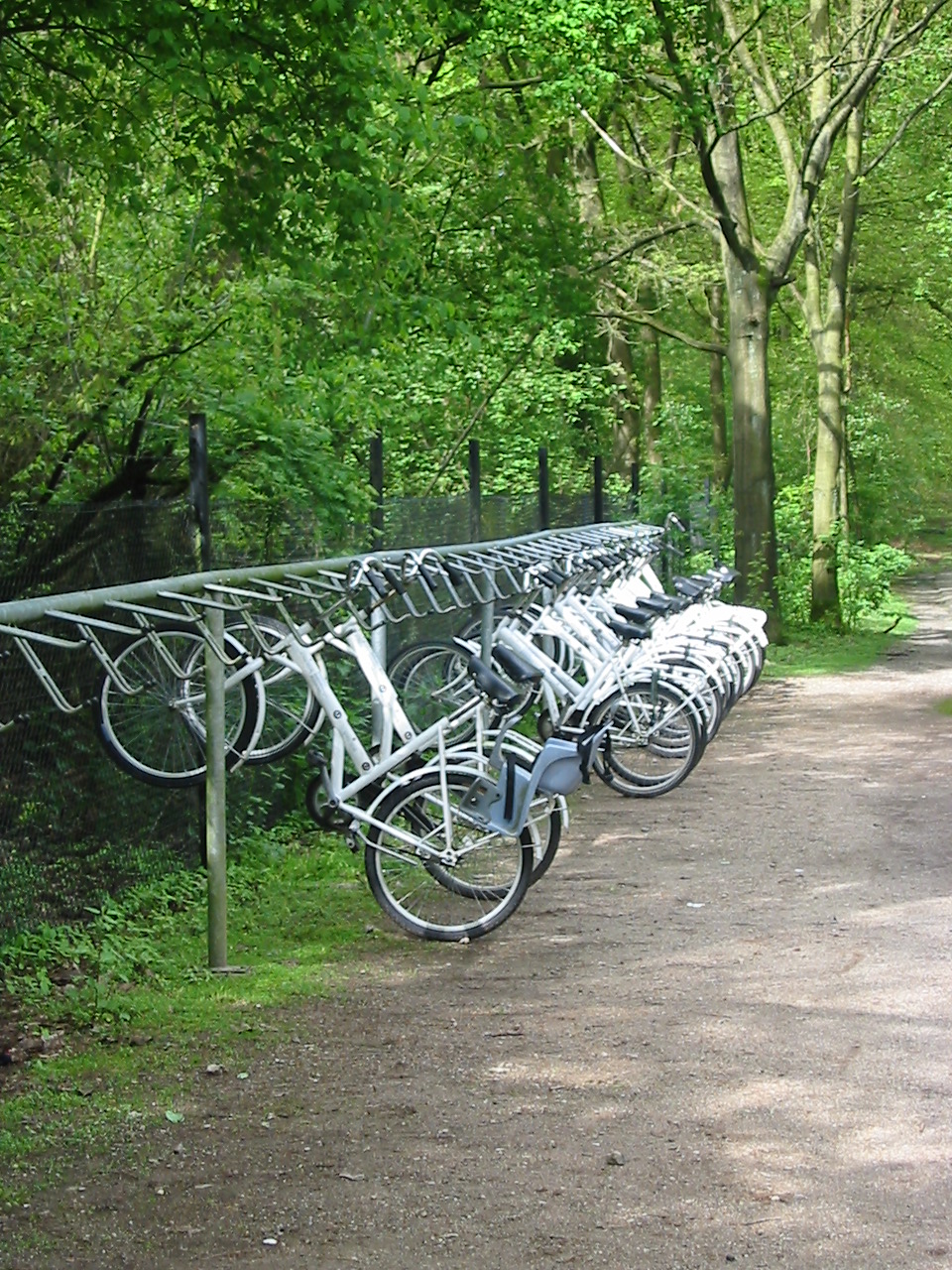 Two-Tier Bike Parking Rack