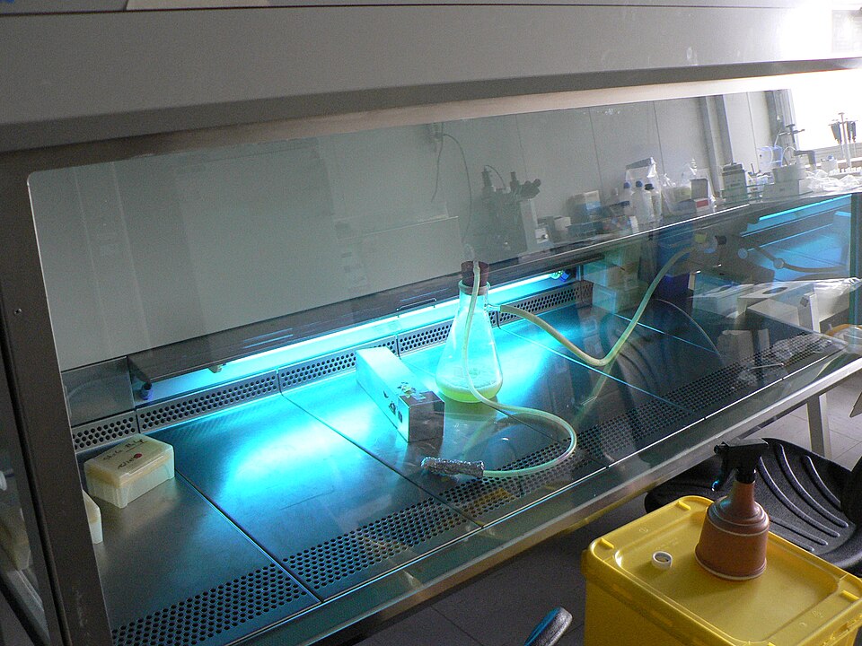 UV-C Sanitizer Lamp