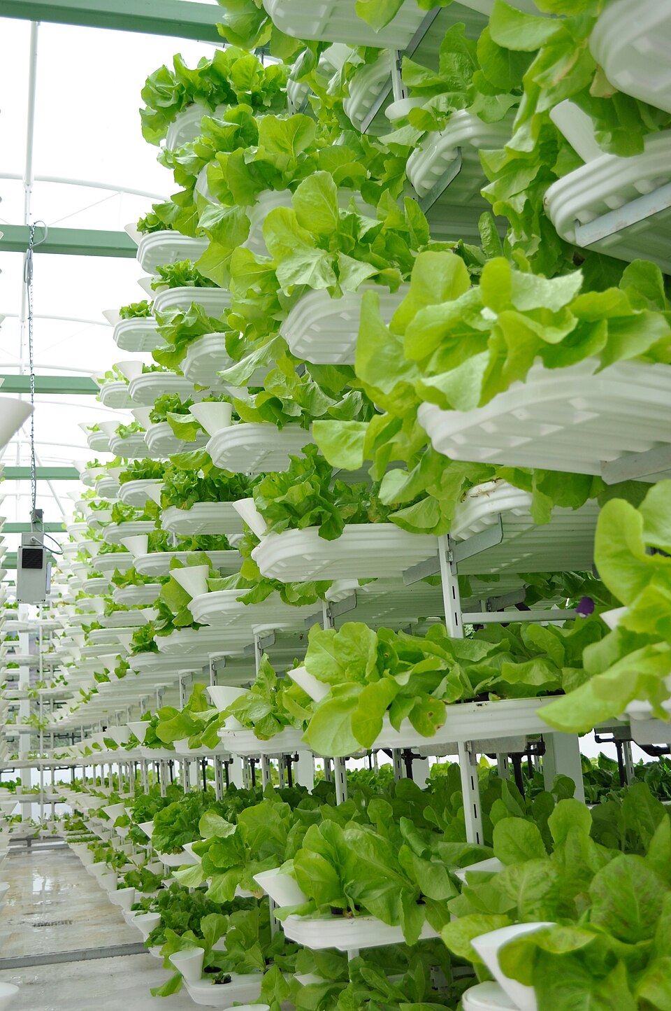Vertical Farm Rack