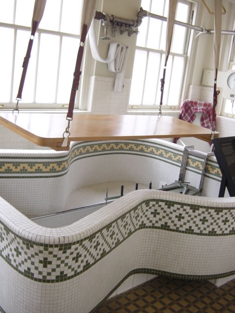 Veterinary Hydrotherapy Treadmill