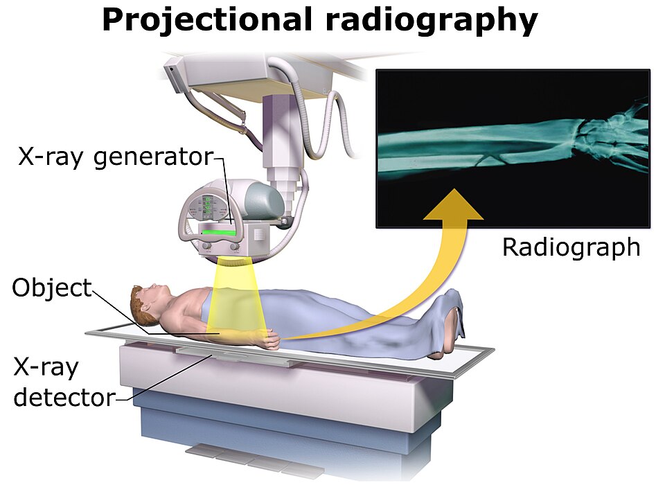 Veterinary X-Ray System