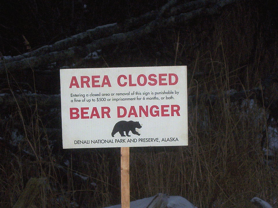 Grizzly Feeder