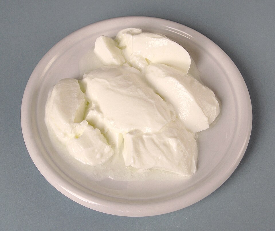 Yogurt Maker